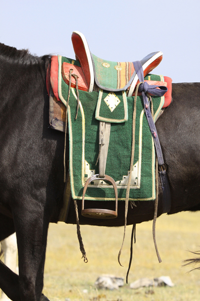 Mongolia saddle